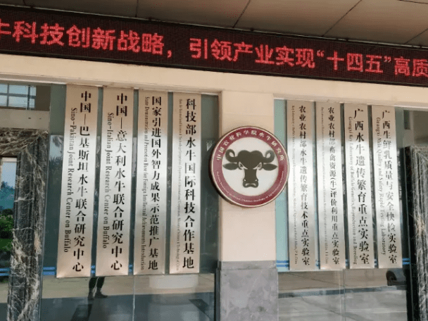 設(shè)備新裝丨中國農(nóng)業(yè)科學(xué)院水牛研究所引進(jìn)艾柯Exceed-Ad-08系列超純水機(jī)，科研水質(zhì)新標(biāo)桿！插圖1